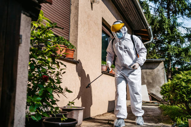 Best Wasp Removal Services  in Nixa, MO