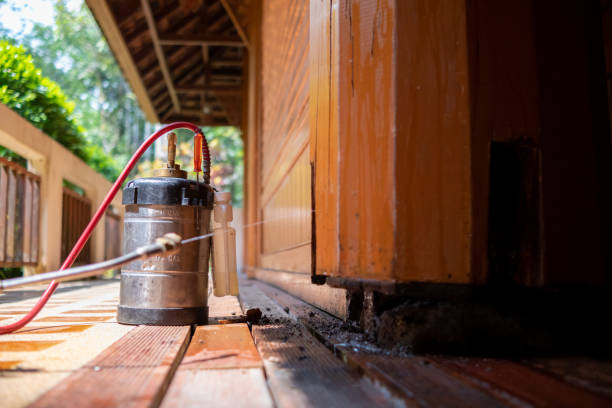Best Ant Control Services  in Nixa, MO