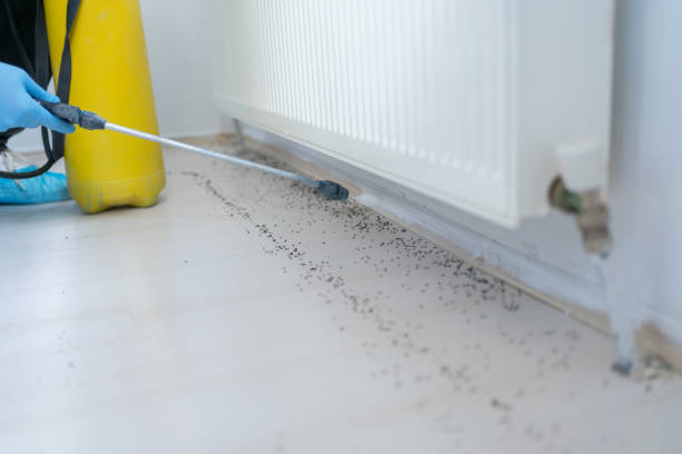 Best Affordable Pest Control Services  in Nixa, MO