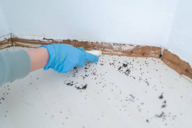  Nixa, MO Pest Control Pros