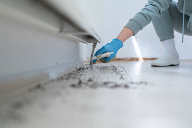 Best Mosquito Control Services  in Nixa, MO